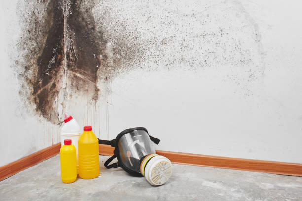 Oak Grove, VA Mold Remediation Company