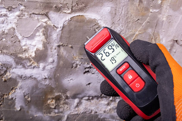 Best Kitchen Mold Remediation in Oak Grove, VA