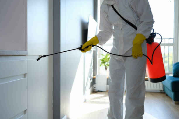 Best Post-Remediation Services in Oak Grove, VA